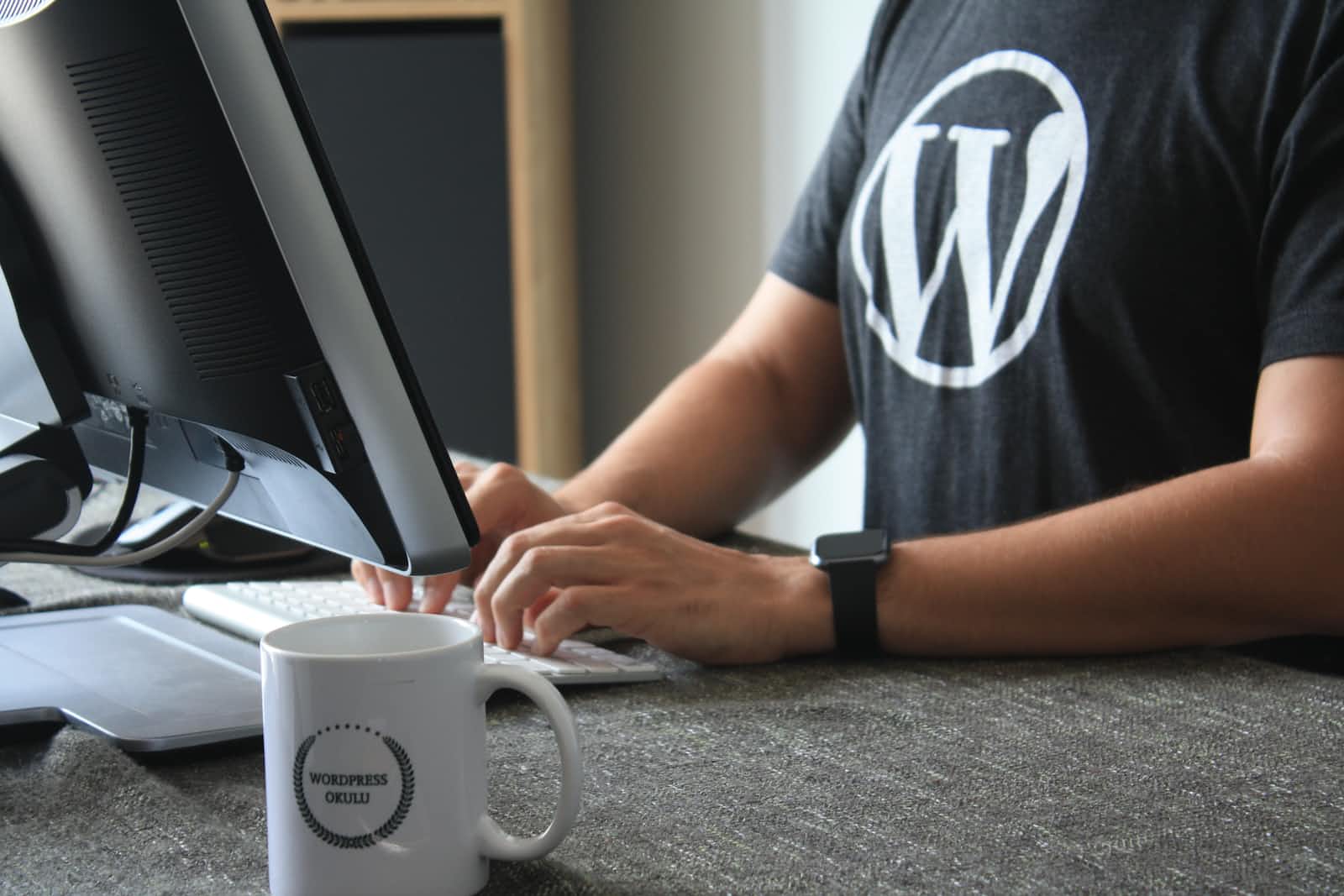 Cheap WordPress Web Hosting in Delhi NCR @ Just 399 Rs